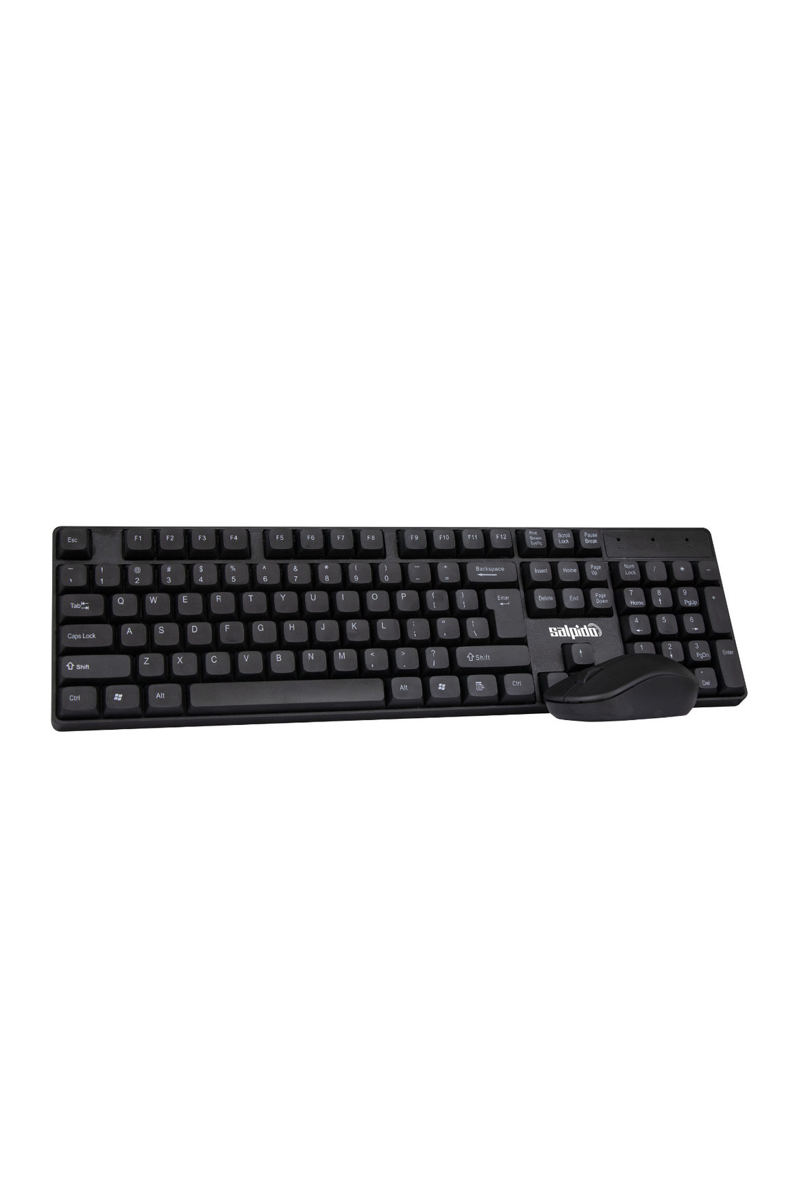SALPIDO G-120 2.4G WIRELESS MULTIMEDIA KEYBOARD WITH MOUSE COMBO