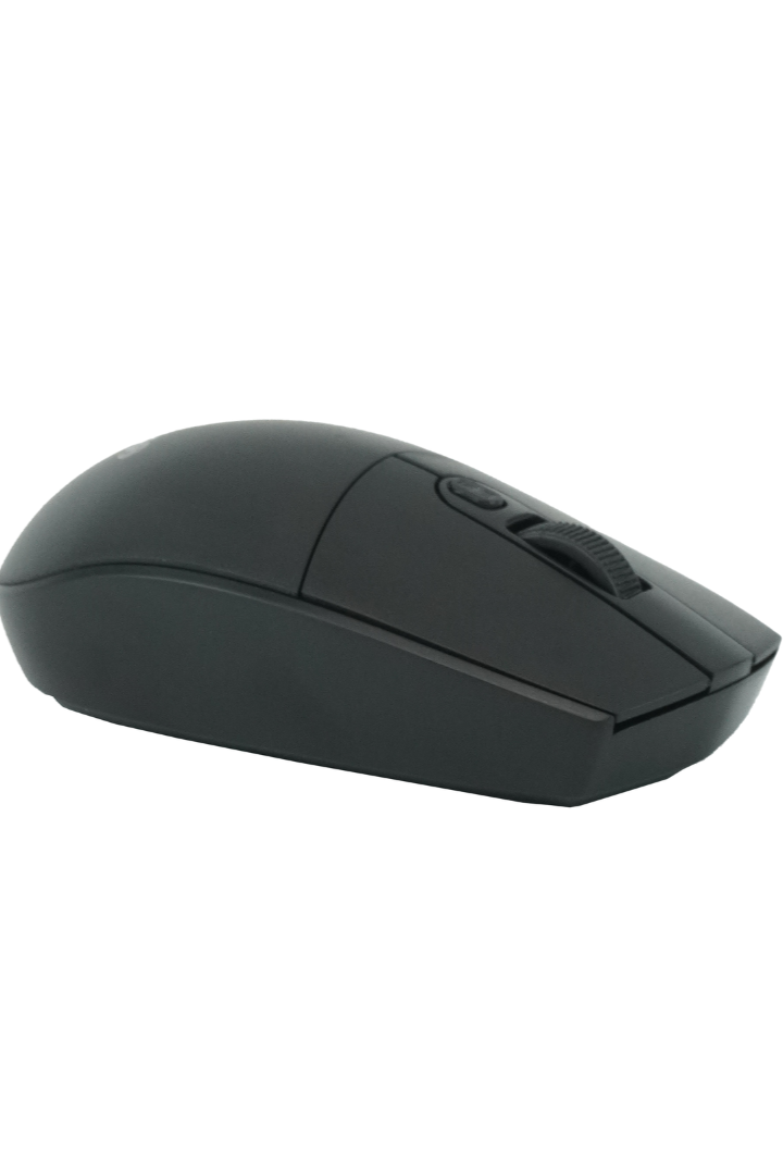 SALPIDO BTM100 BT & 2.4GHZ WIRELESS MOUSE