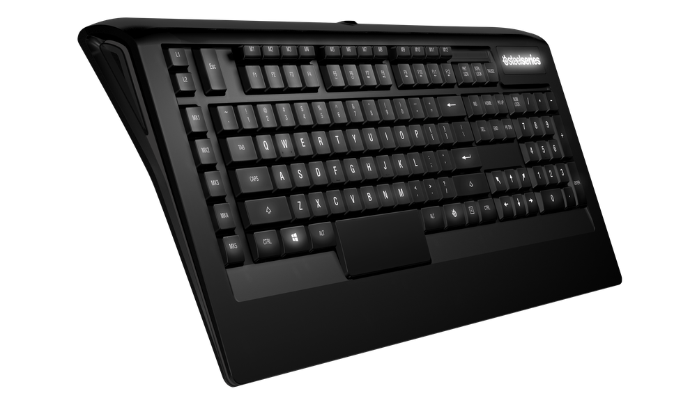STEEL SERIES APEX 300(US)